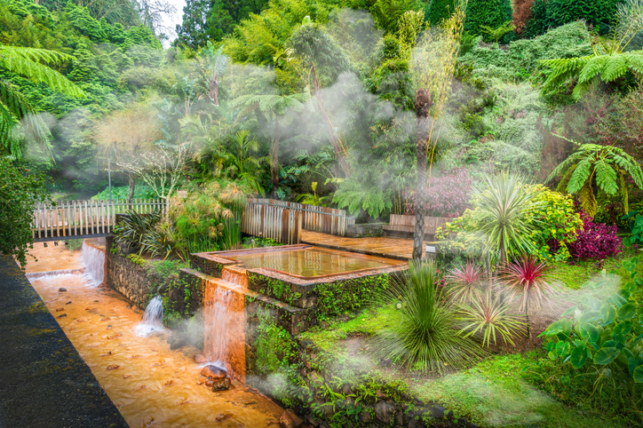 Heiße Thermalbecken und tropische Pflanzen in Furnas auf den Azoren