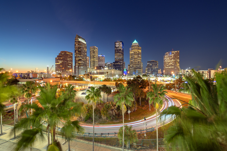 Die beleuchtete Skyline von Tampa leuchtet nachts zwischen Palmen und Straßenlichtern.