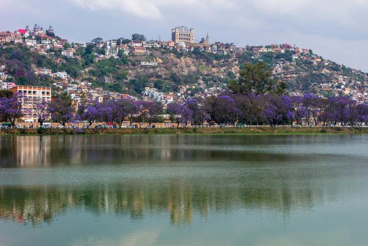 Ein ruhiger See in Antananarivo mit violett blühenden Bäumen und Häusern am Hang im Hintergrund.