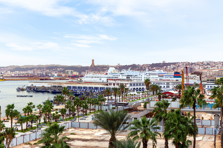 Große Fähren liegen im Hafen von Algier, umgeben von Palmen, Stadt und Meer.