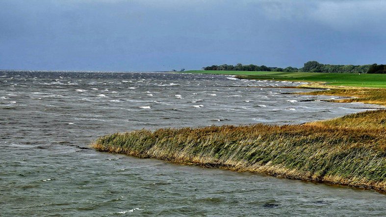 Salzwiesen und aufgewühltes Wasser an der Küste bei Bremerhaven