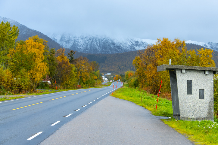 Eine Landstraße führt durch eine herbstliche Landschaft mit gelben Bäumen und verschneiten Bergen in Norwegen.
