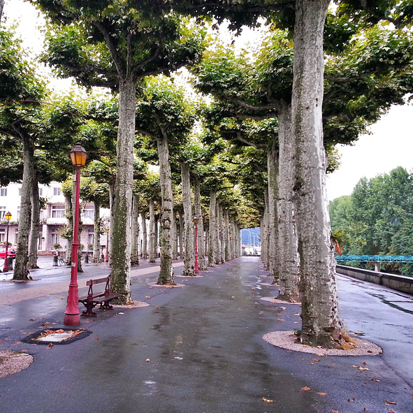 Lange Allee mit dicht beschnittenen Bäumen und roter Laterne an einer Promenade in Saint-Girons