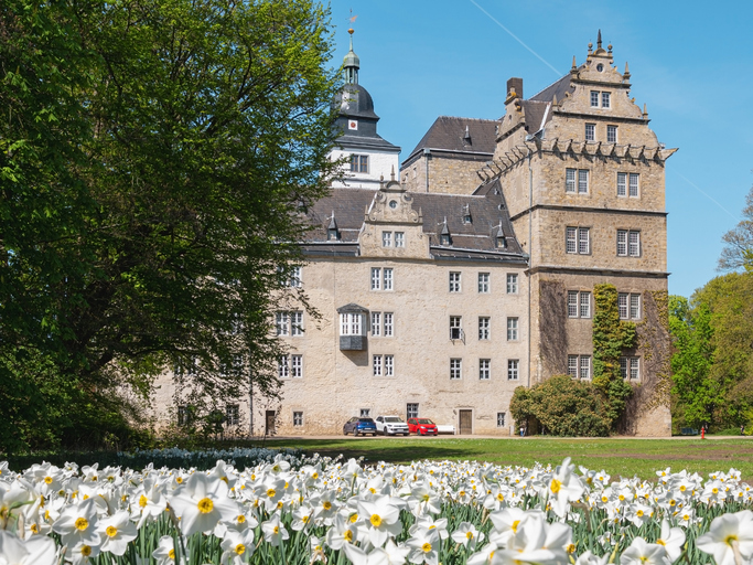 Schloss Wolfsburg mit historischer Fassade, grüner Wiese, Bäumen und weißen Frühlingsblumen im Vordergrund.