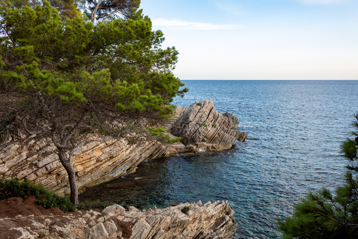 Zerklüftete Felsen und Pinien an der Küste von Cala Gat
