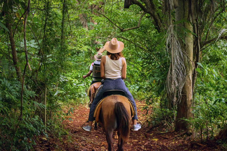 Zwei Personen auf Pferden auf einem schmalen Weg durch dichten tropischen Wald
