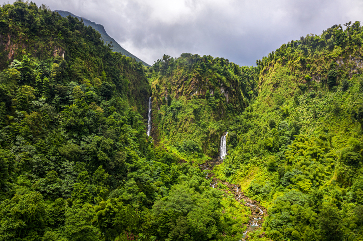 Zwei schmale Wasserfälle stürzen auf Dominica durch dicht bewachsenen, tropischen Regenwald in ein grünes Tal.