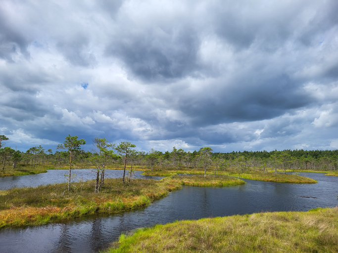 Weite Moorlandschaft im Ķemeri-Nationalpark in Lettland mit dunklen Wasserflächen, kleinen bewachsenen Inseln, niedrigen Kiefern und dramatischen Wolken.