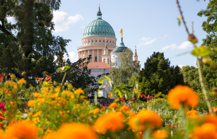 Blick durch einen blühenden Garten auf die markante grüne Kuppel der Nikolaikirche in Potsdam zwischen hohen Bäumen.