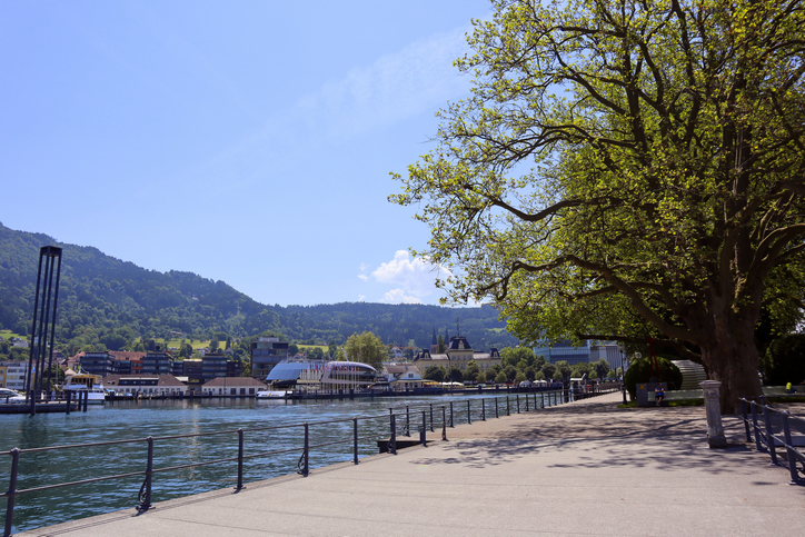 Uferpromenade in Bregenz am Bodensee mit Geländer, großem Baum und Blick auf die Stadt am See.