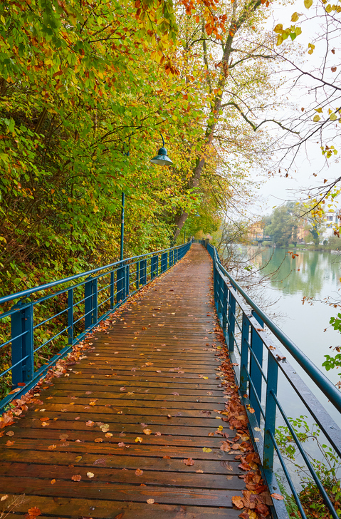 Holzsteg mit blauem Geländer entlang des Flusses in Steyr, umgeben von herbstlich gefärbten Bäumen.