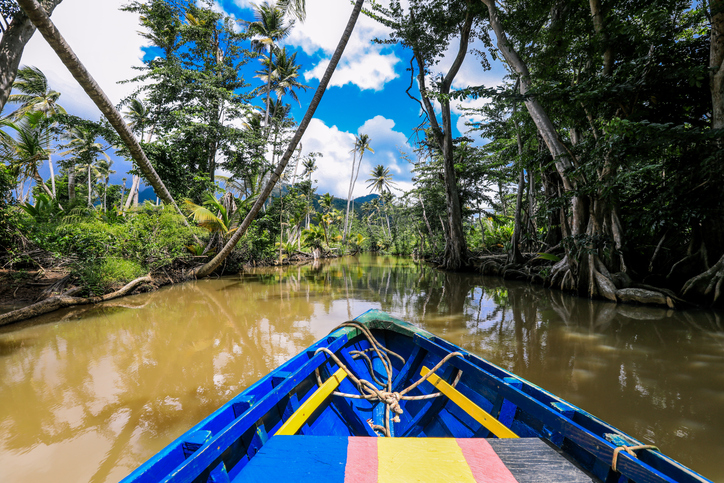 Blick aus einem kleinen bunten Boot auf einen ruhigen Fluss auf Dominica, umgeben von dichtem tropischem Wald und hohen Palmen.