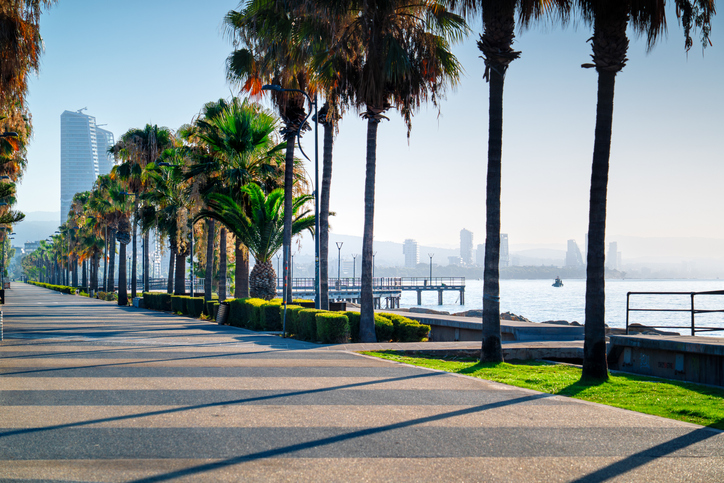 Breite Promenade in Limassol mit hohen Palmen, gepflegten Grünflächen, Meerblick und moderner Skyline im Hintergrund.