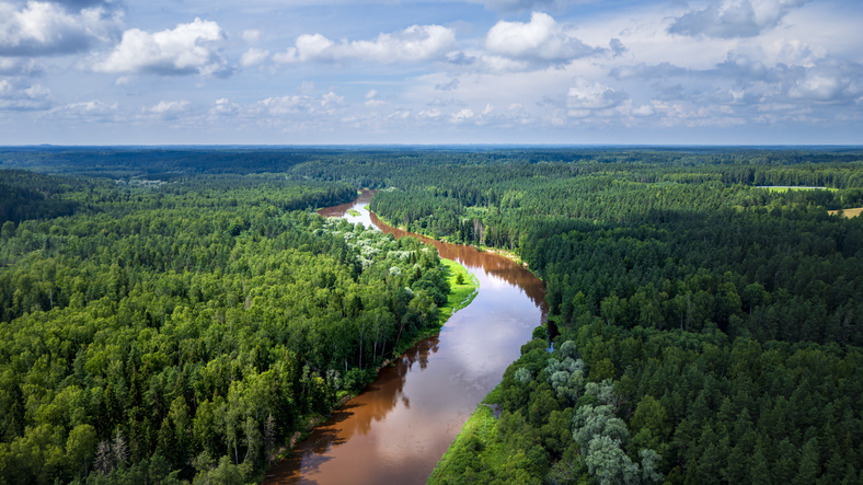 Luftaufnahme vom Gauja-Nationalpark in Lettland mit einem sich durch dichte Wälder schlängelnden Fluss unter blauem Himmel mit lockeren Wolken.