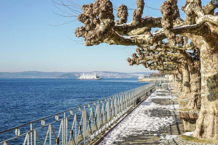 Eine Uferpromenade mit beschnittenen Bäumen und Geländer verläuft im Winter direkt am Bodensee entlang.