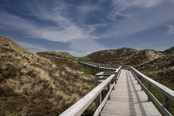 Holzsteg durch die Dünenlandschaft auf Sylt mit trockenem Dünengras und blauem Himmel.