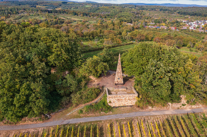Luftaufnahme des Goethesteins zwischen Weinbergen und bewaldeten Hügeln bei Wiesbaden