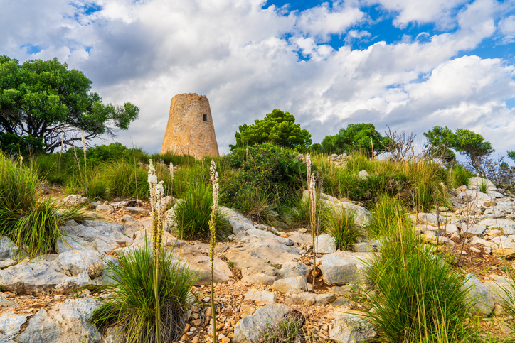Historischer Steinturm in felsiger Landschaft mit mediterranen Pflanzen nahe Canyamel