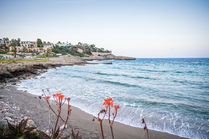 Ruhiger Strand mit Felsen, Wellen und roten Blüten an der Küste von Cala Murada