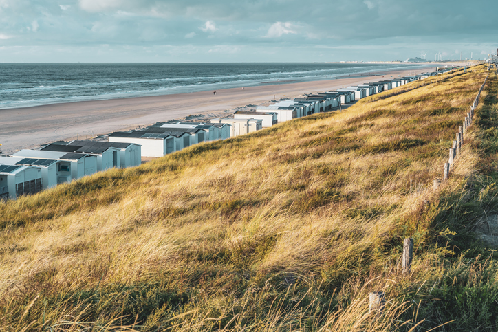 Dünenlandschaft und breiter Strand bei Haarlem mit Strandhäusern, hohem Dünengras und Blick auf die Nordsee.