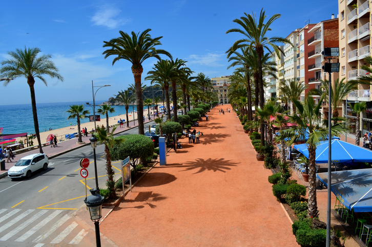 Breite palmengesäumte Promenade entlang des Strandes in Lloret de Mar