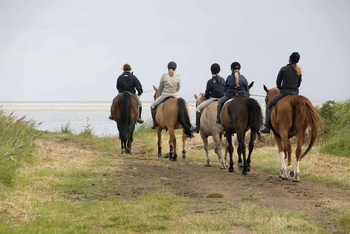 Gruppe von Reitern auf Pferden auf einem Küstenweg nahe dem Strand von Sylt mit Meer im Hintergrund.